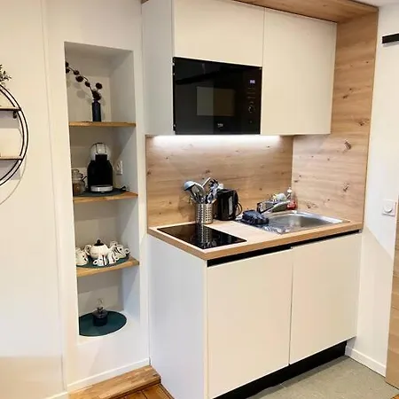 Appartamento Studio Cocooning Grenoble